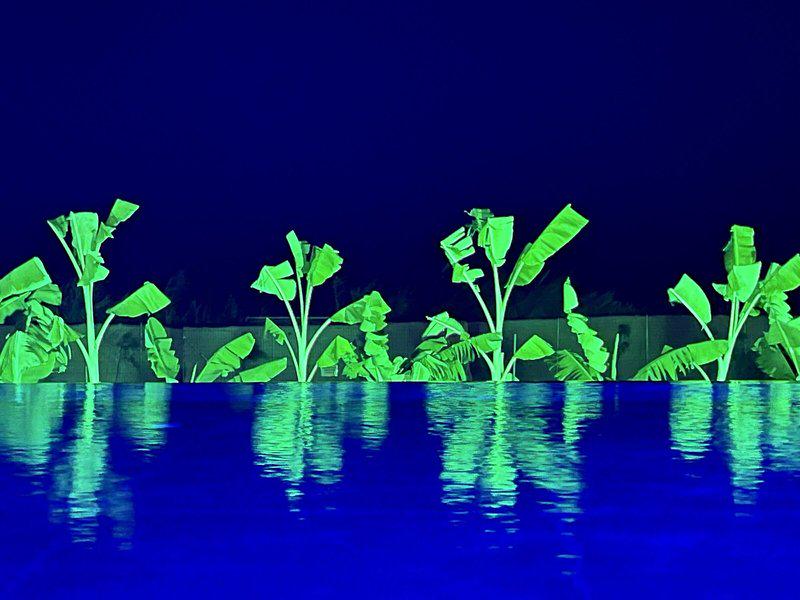 CD8E90A7AF2B6786A179A97401D56EC6