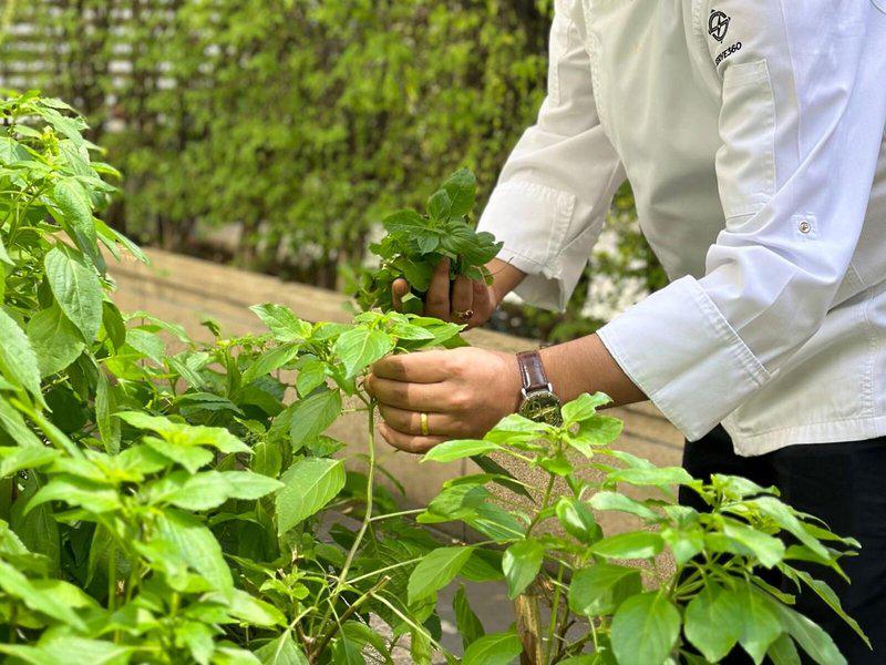 2333C072B19790B59166A19A6FB4E587