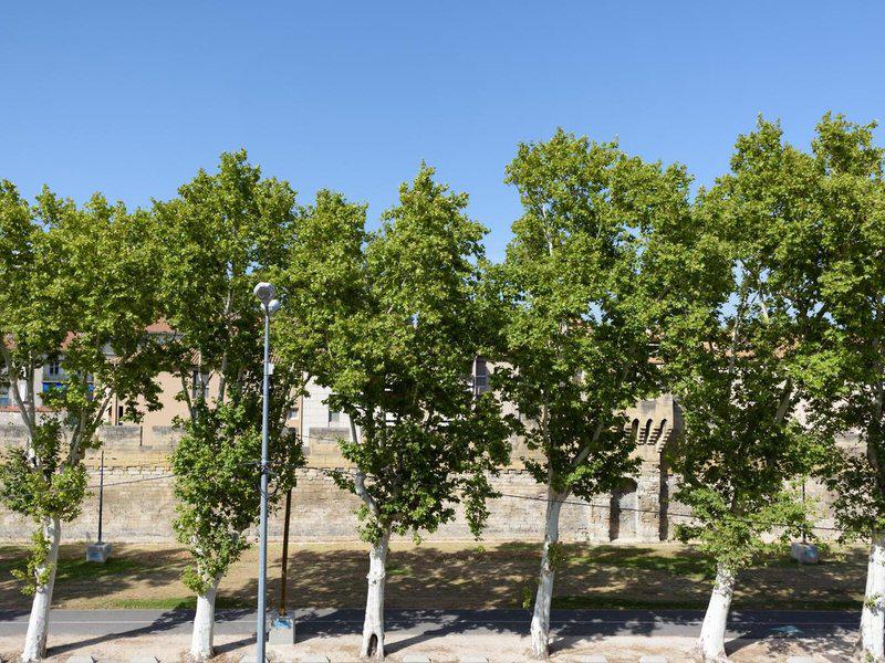 6D8897D11CFF3C3C4CA69E968DDAE084