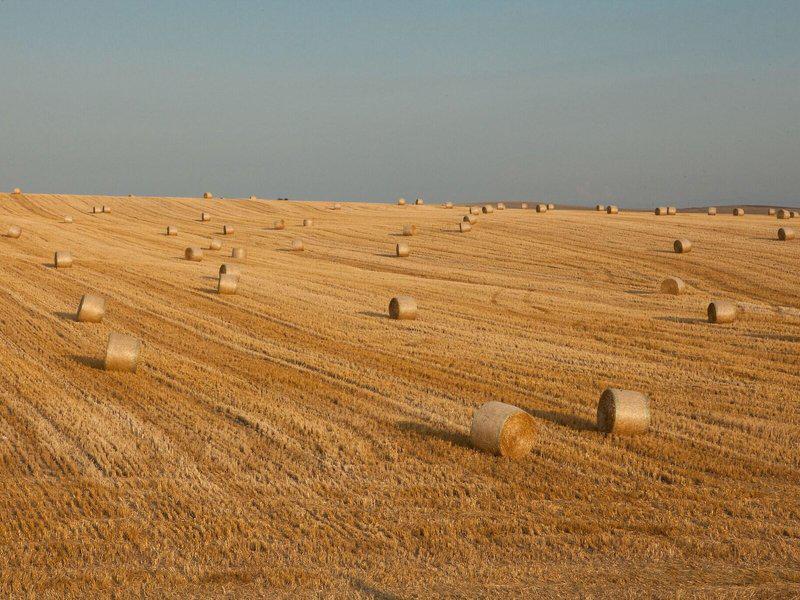 565E07B6ED9B258E03D8BF7500BA92F9