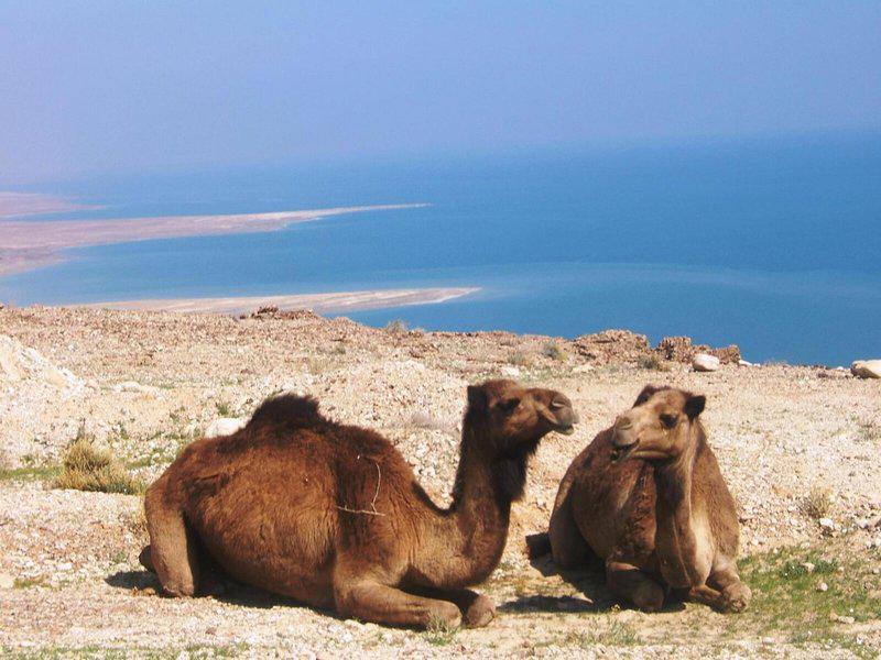 CB98710DD2D12AF172608EC33BFDFDDF