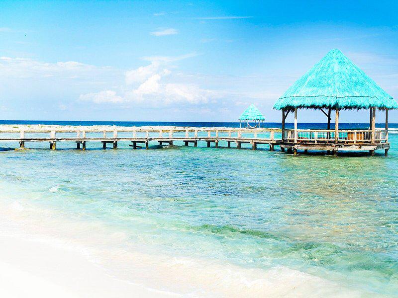 7ED8832D5C4A3C33135DCC55C876EB2A