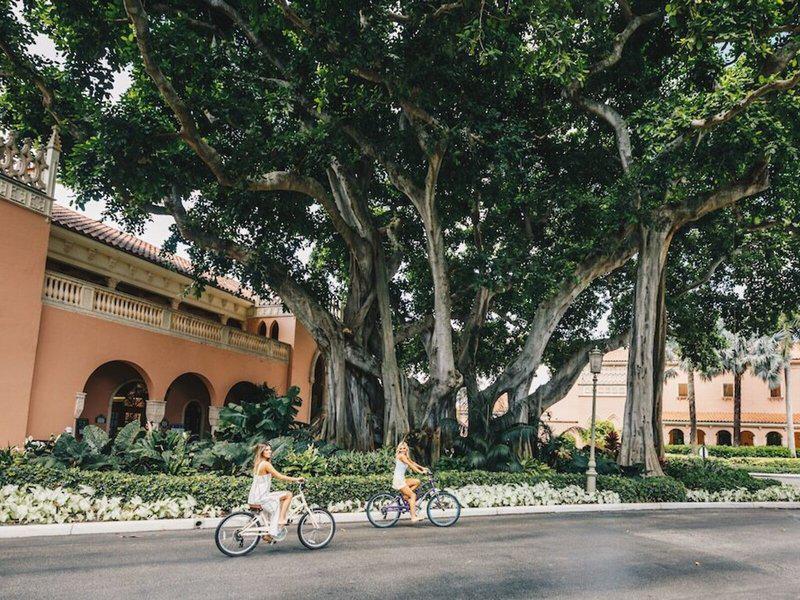 3D37A7FEA81F68DCC203CE2383F4FB8F