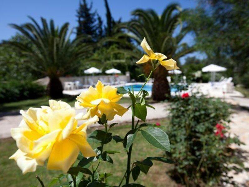 A67D8EC9A135FD042C702293A516342D