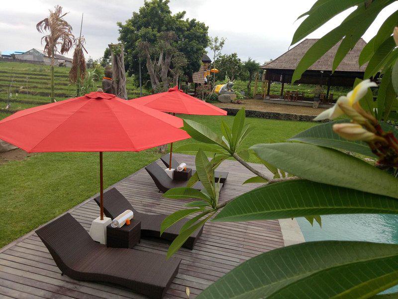 70C8BF7DF7DA9749DB6F702095863D3E