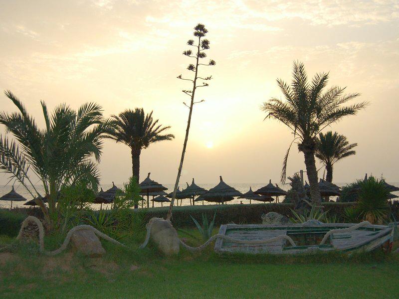 1A8E8B4B3D0781F641CBD48134B4D648