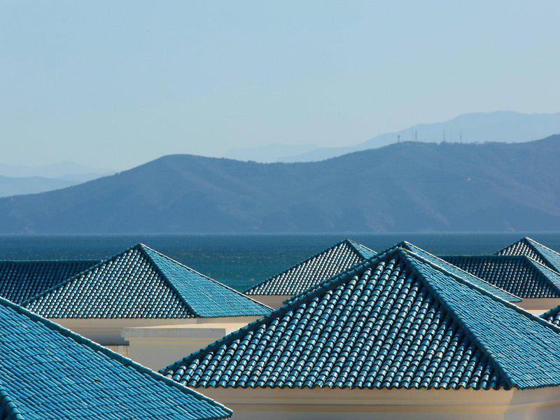 D9C31EFD3F6B8F0737DE1A9874851560