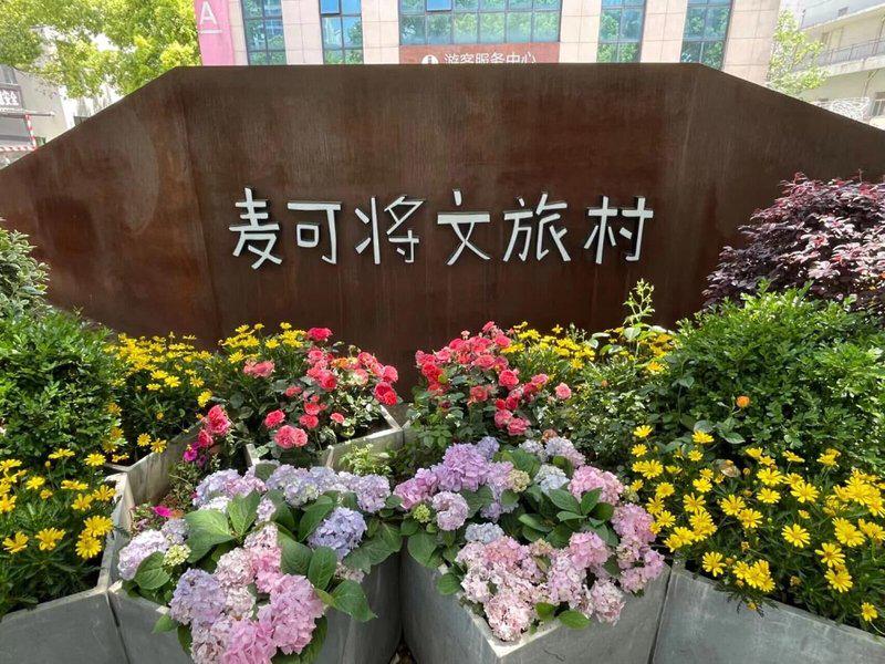 BAD2D80CE596DD6CC2297A6E8F6A539E