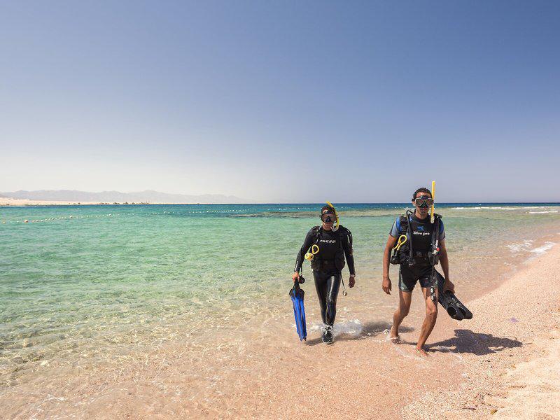 B17B88F280B943508943A0F28876EF39