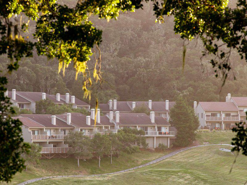 7BD8829E13E863F772E8A6818460BA0E