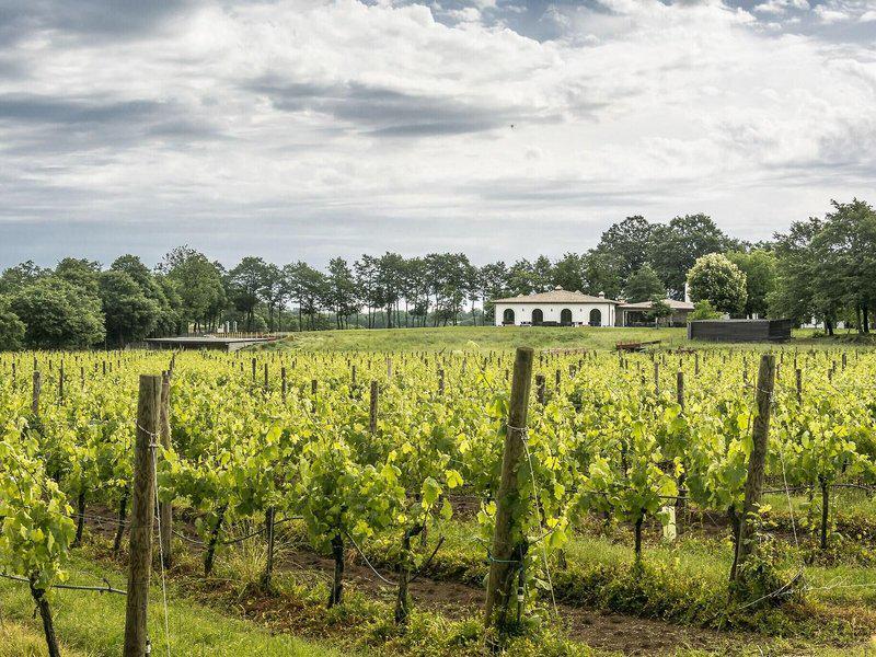 135643D5BA45FE19A55D17971F180F9B