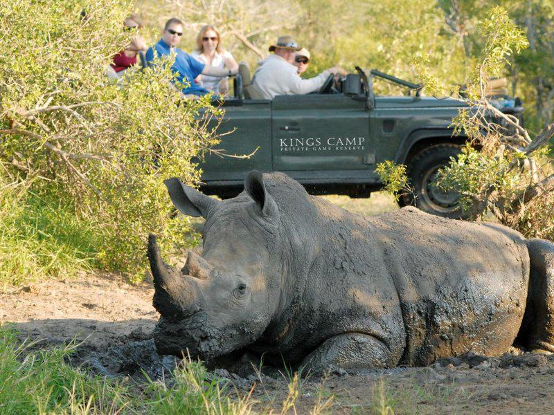 616D11BFABEF37A34FA7239076727C44