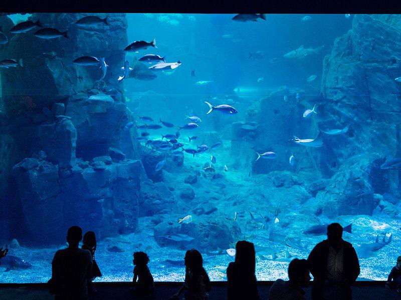 26BB2A788FB786D23B9B153936D01420