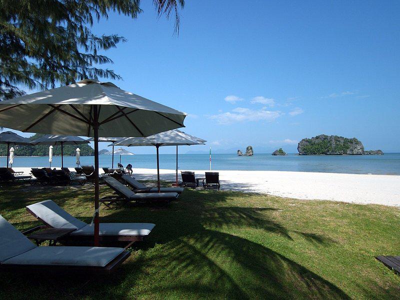 8529003D6D98C8BC050E2ED35EC1D3AD