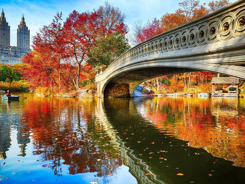 A7D102238C801F6B0D50796D8270E59A