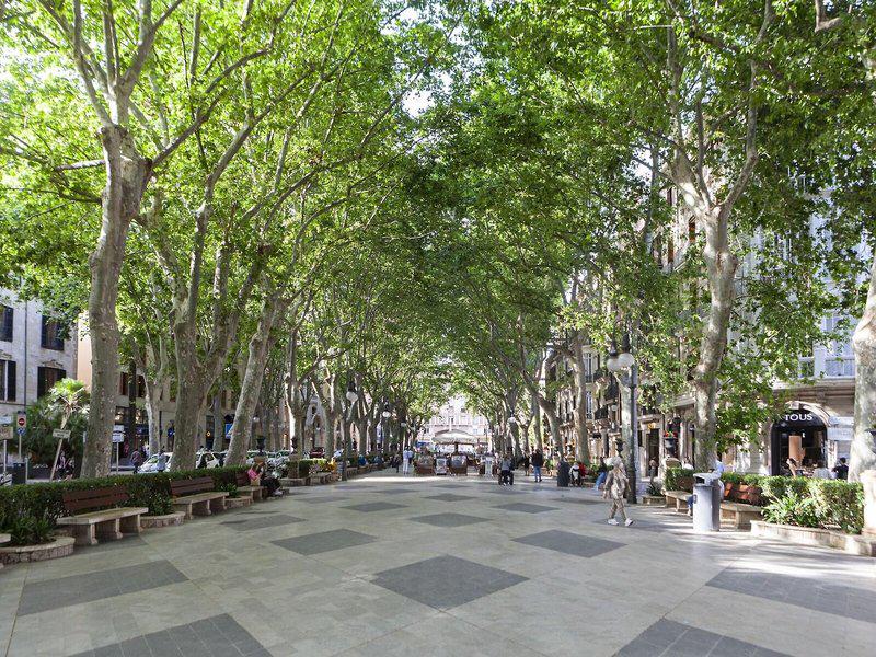 5F6D1A92D701FB5DCE1BF4A9674F019F