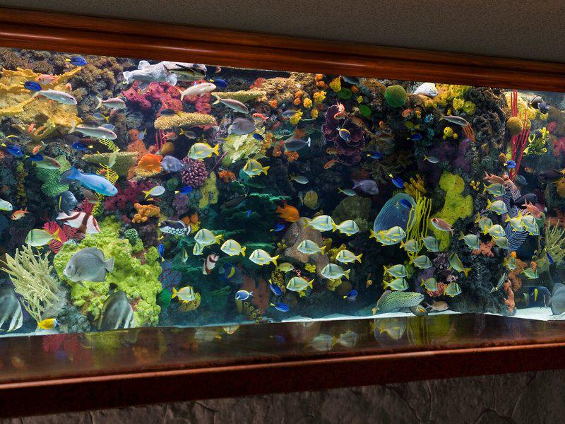 9CDF9BF9D14FD22B292D49E441B0AD6B