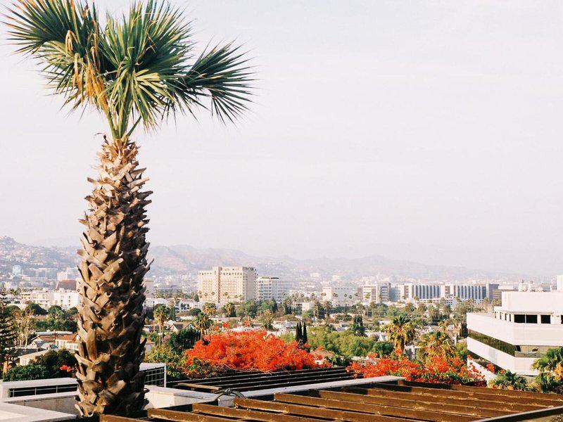 AF0345636F1C31F7DE7CDCFEB7B9B187