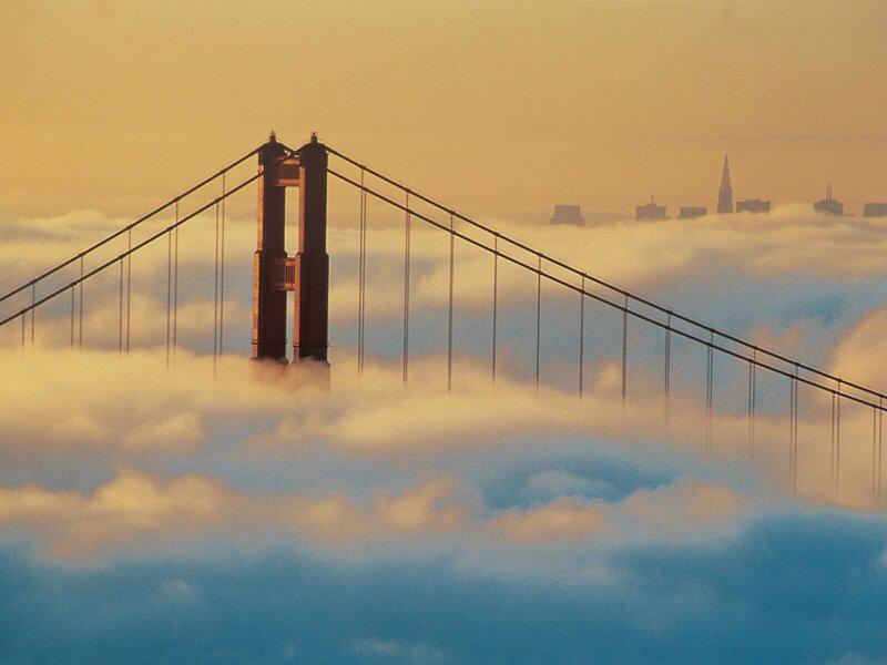 3CBDF8CB81EAD7841B8E37323BB1236F