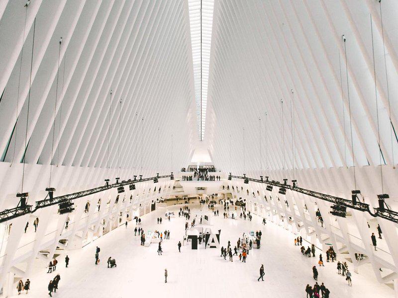 93EA6051E2520BF1409E19C564A7BC58