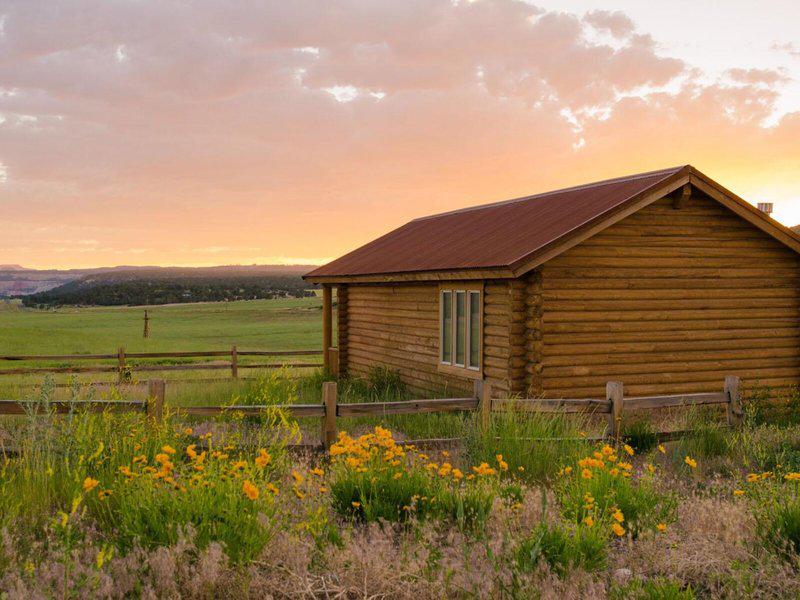 42C6E74D7B6CFFEAD14E5EEB043F3D4F