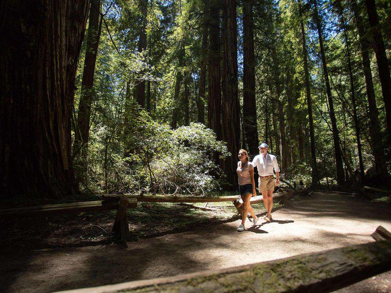 57E27DB8E0FF05B45B5DF57650F4E2AE