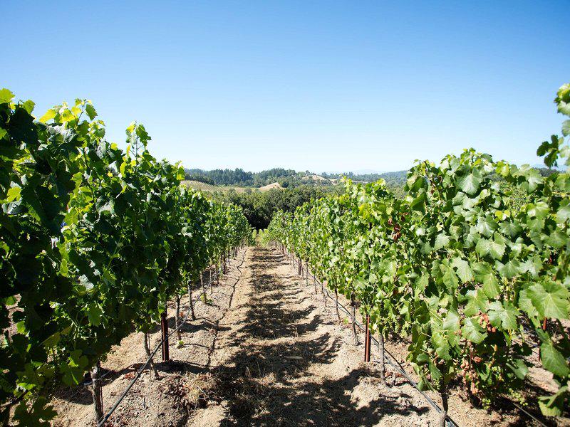 65996E379EA5A5B531522B7DC5DE6321