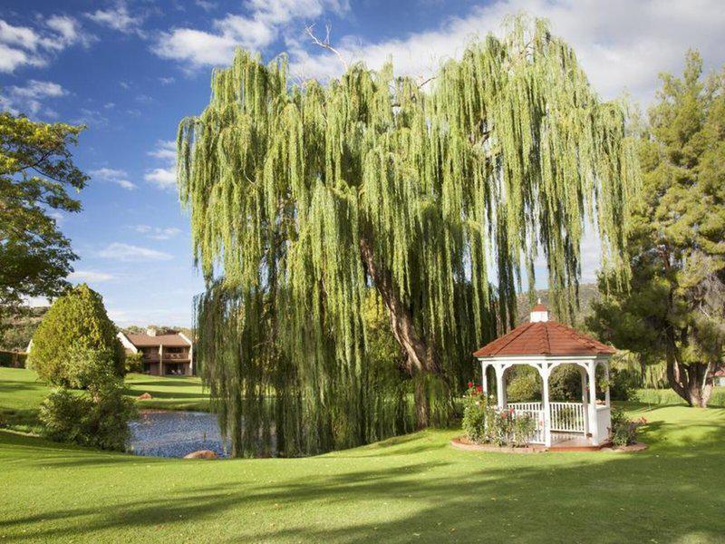 5C822BCC55F799ACC29369052DB186FF