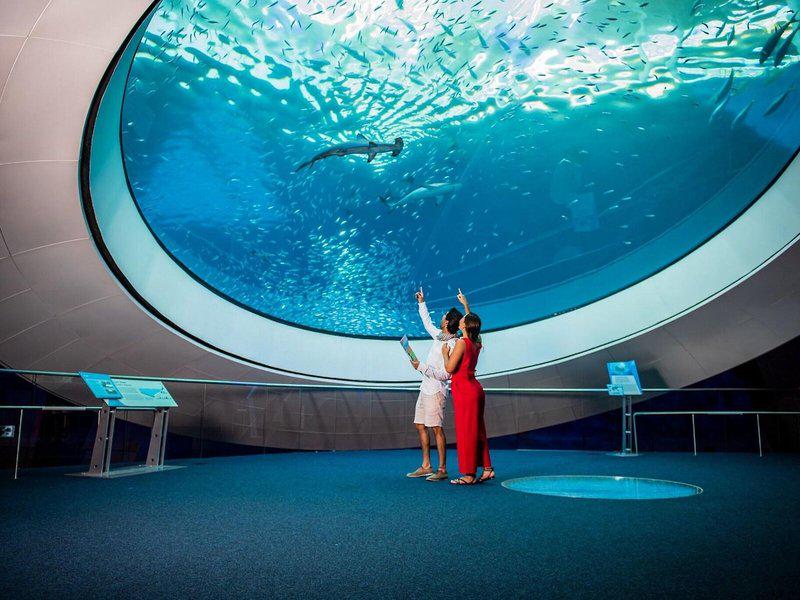 0123447EA62CB0D1FF88A009EB01DB06