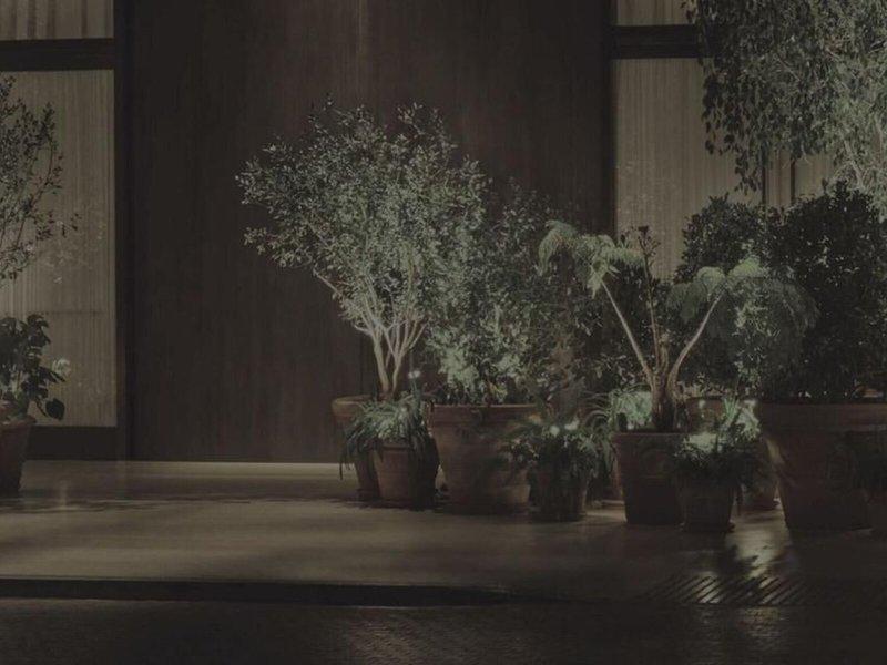 D54BF09848A1AB74FF15A1A16BEE1447