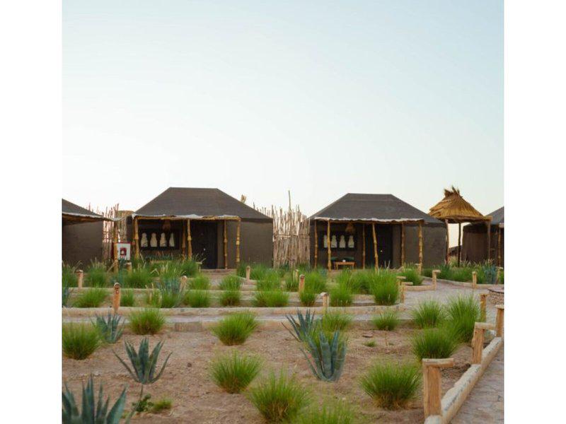 6DA78E178DEE30F38B251593350D7E9E