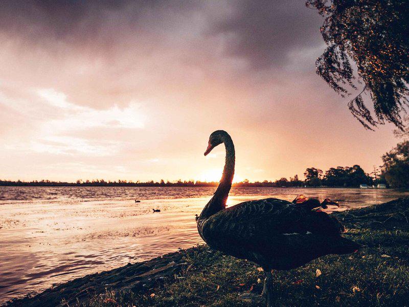 CBAD65A4B8D7BAD69F6EFBBE21A989B2