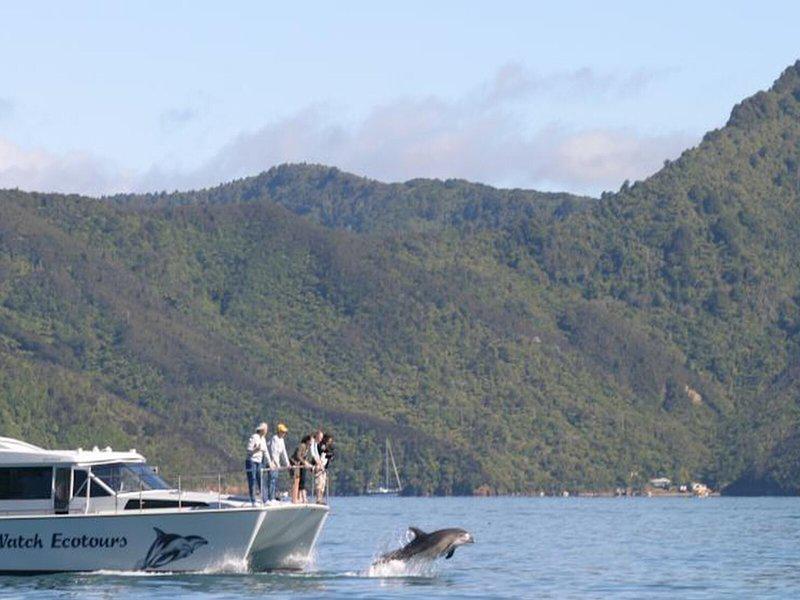 D864EBF60B3598A2E6169DDE5A34E5C4