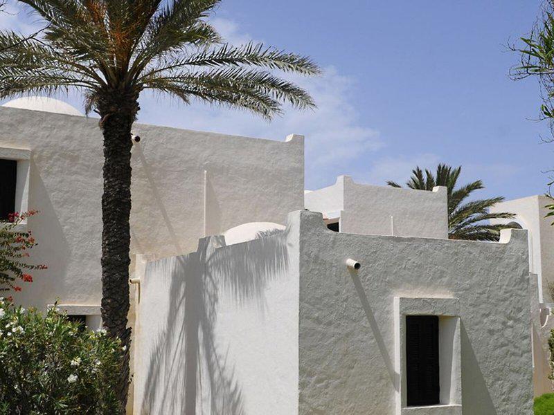 53507F29596EEAD3FB135838E1AFA7AB