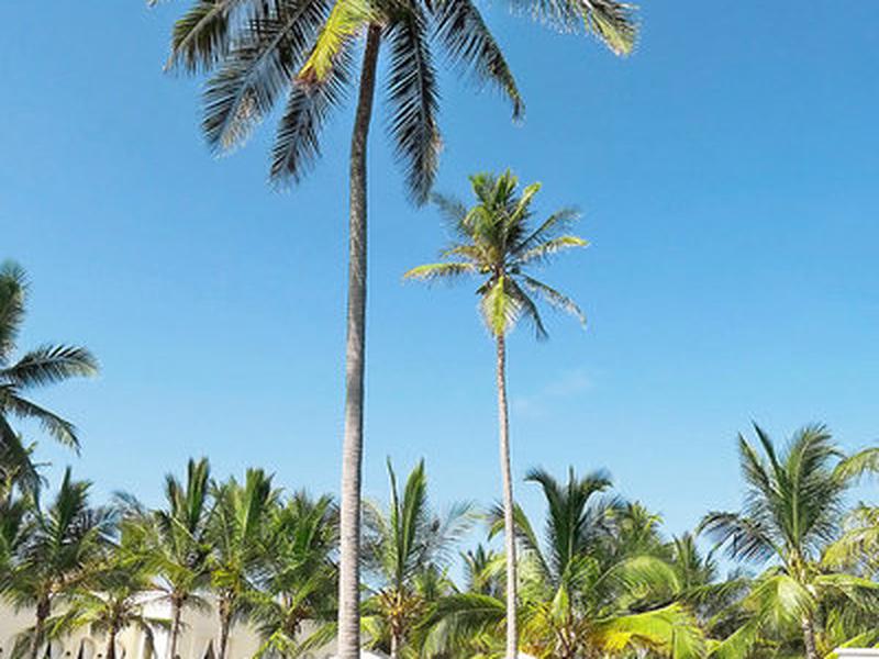 4FC9175AF6F523CC65D8613792482D0B