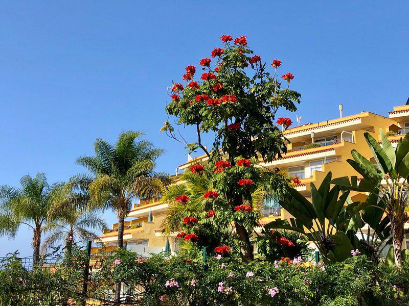 1B6FB34A9E5727BD235FBC4E380F57E8