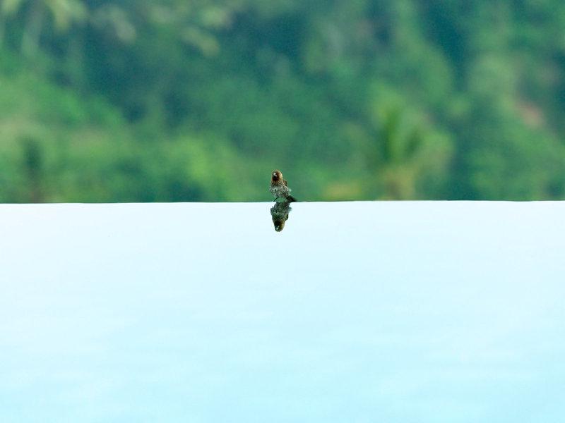 3C8B57545548A0413176AD270422BB40