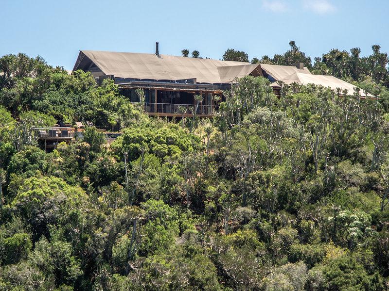 0EBD09C896A2A80F954BBAE4E7F1503D