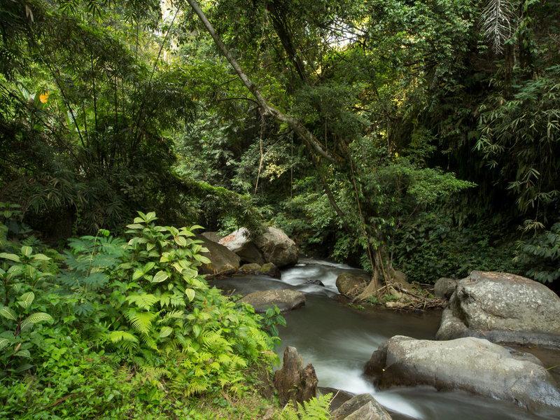 3C5BB2D77C498994E087F70893D59A91