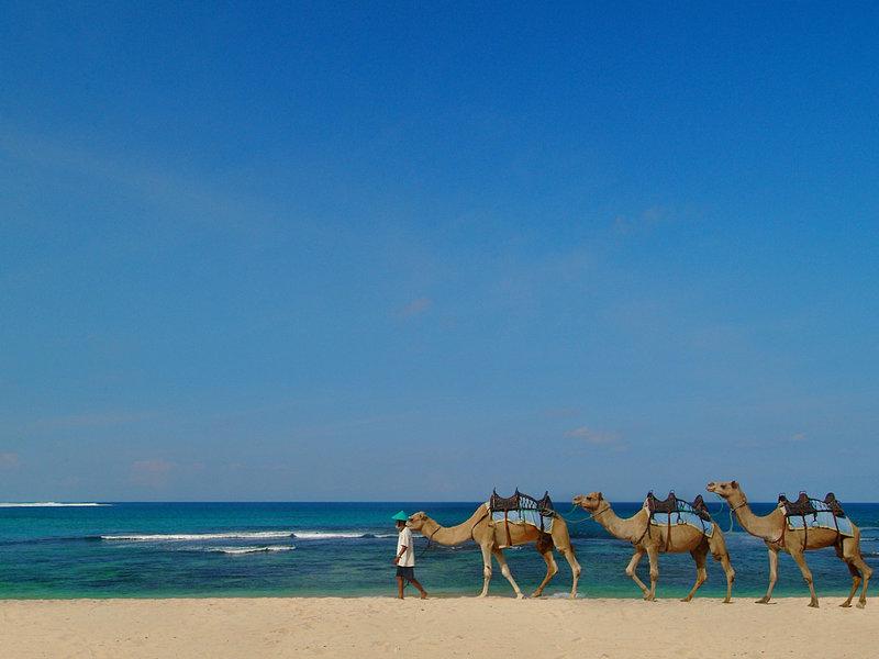 9AAE2294B7CD8D5A2B65783EC310EFD9