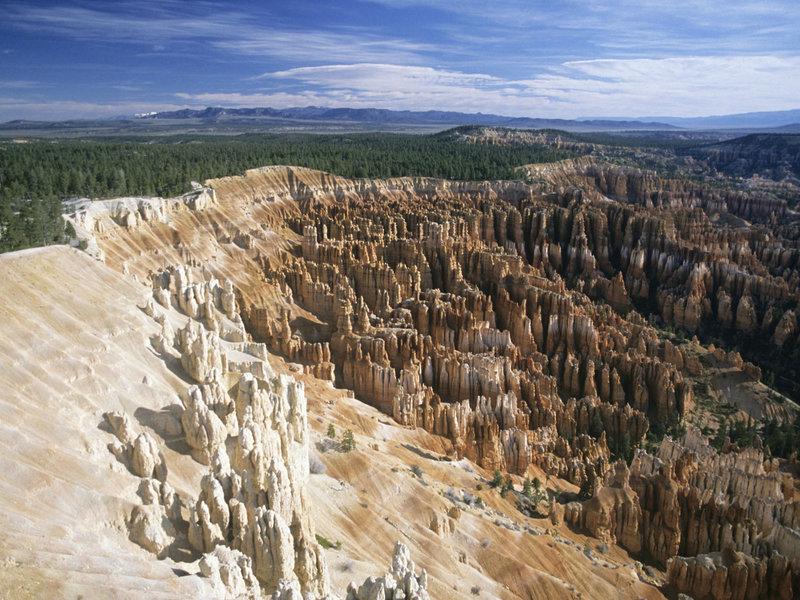 904E3AFE807EE62DC5B424650DFD0A80