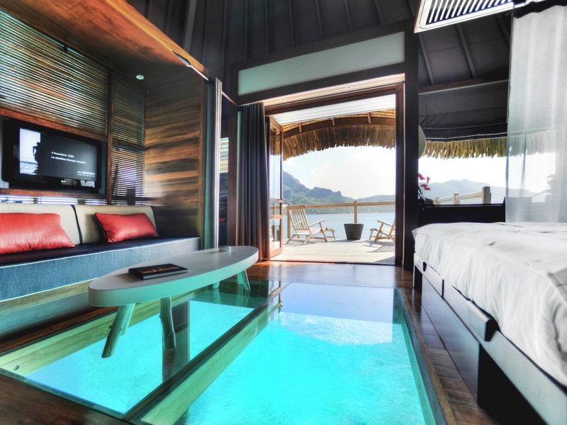 43DA31CA9205314B68BA7A71027A1577