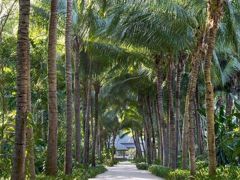 ECB69C410A965DED168E6E13D6852810