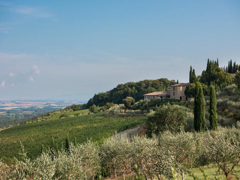 E8D152245F2009C6018F2B2EDEC8F3E1