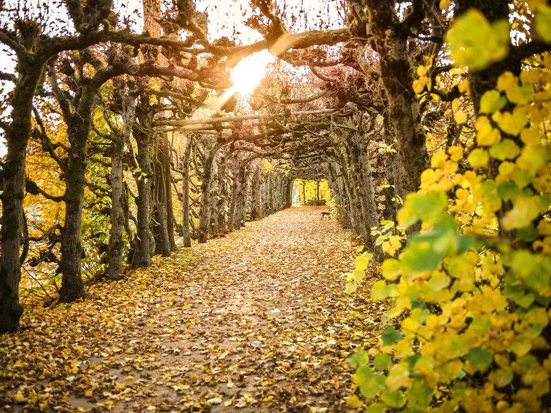 204C7B9E4172267E114F0C18B4EC0034