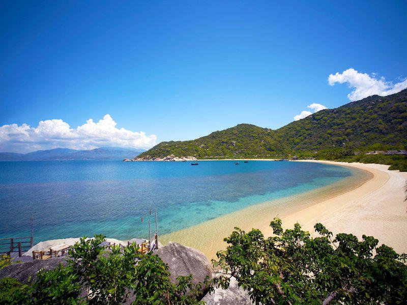 8F21439FC6F72D0ECC1C6F4F136E82C2