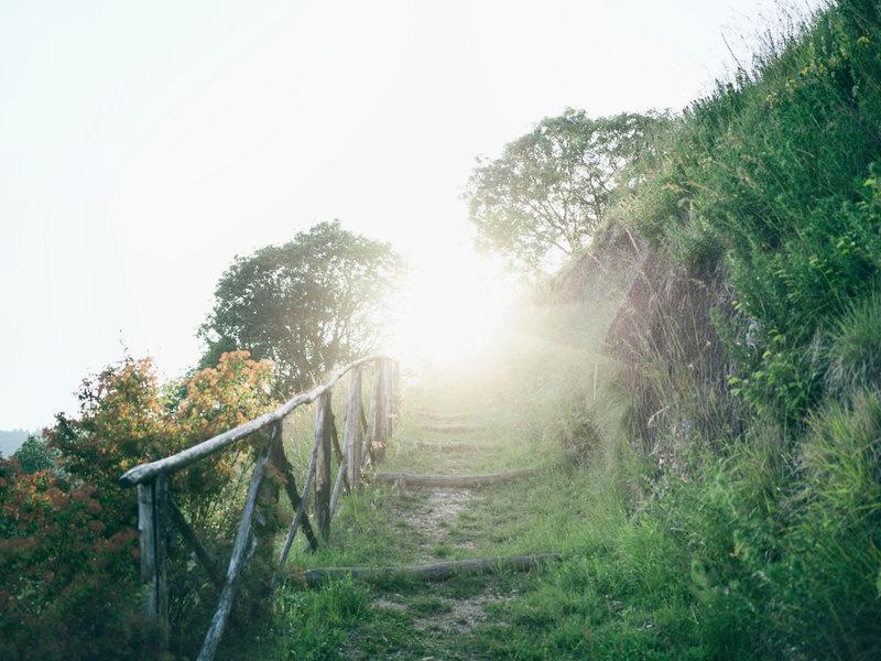 67A6F8F5BE22D58CFB2A7E64E1F23352