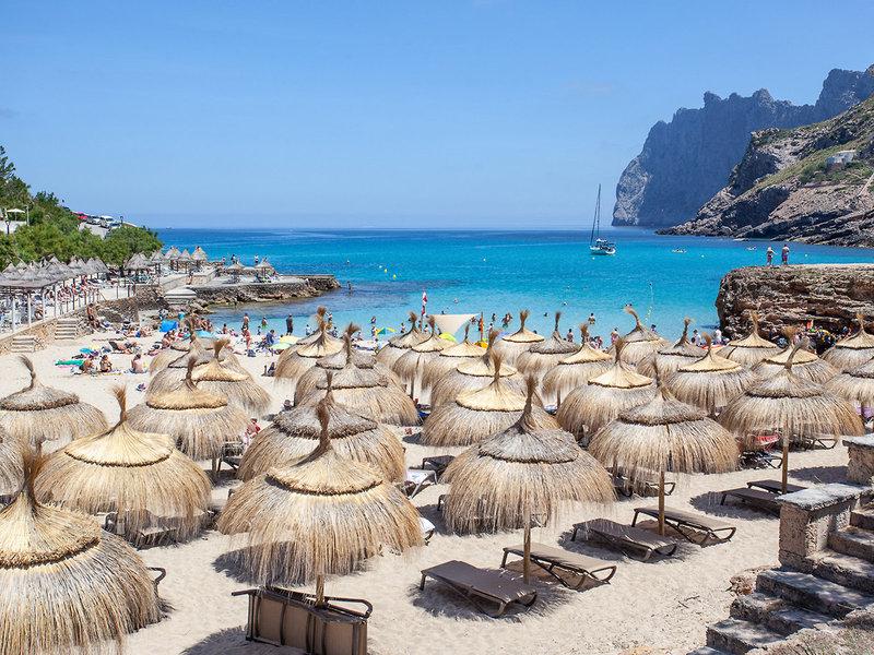 E0724F05AE6CC8B8C9EB65667FB88653