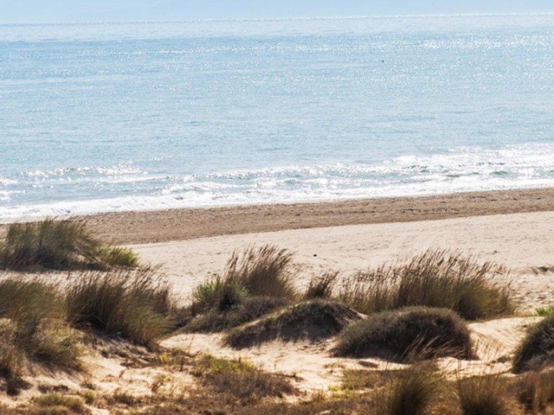 D0A71079B2894D6EF4DAC9D88995C8A6