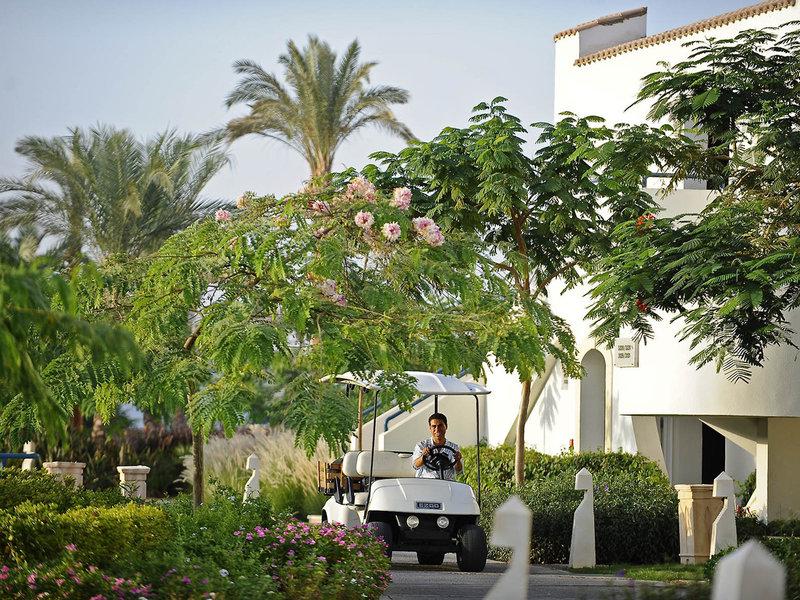 7B87E81BE3999EA74E2A34482A11A226